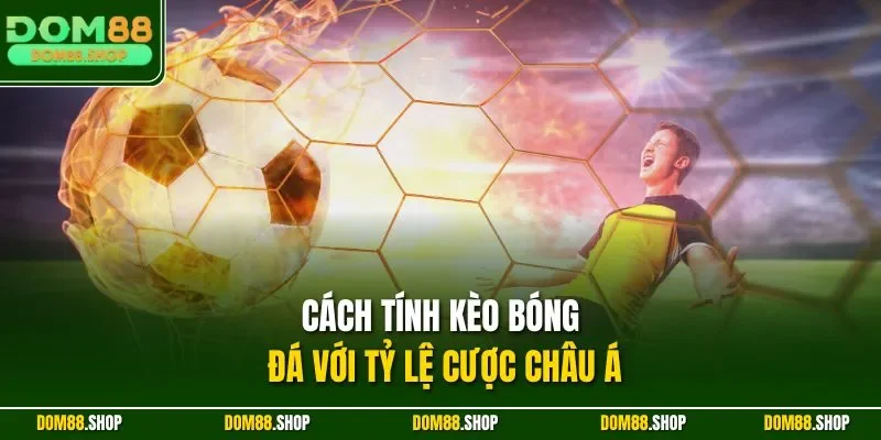 Cách tính kèo bóng đá với tỷ lệ cược châu Á