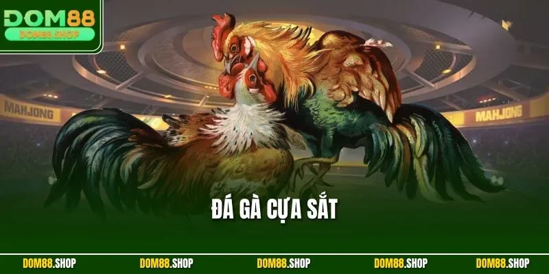 Đá Gà Cựa Sắt
