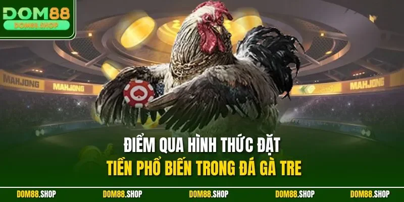 Điểm qua hình thức đặt tiền phổ biến trong đá gà tre