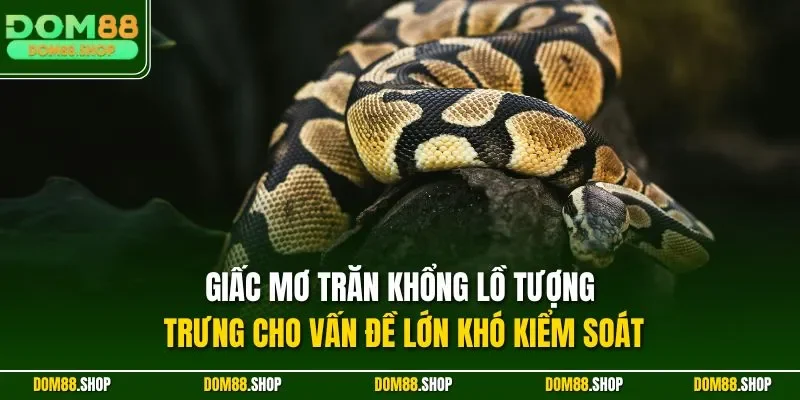 Giấc mơ trăn khổng lồ tượng trưng cho vấn đề lớn khó kiểm soát