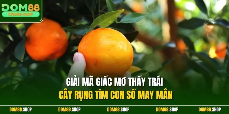 Giải mã giấc mơ thấy trái cây rụng tìm con số may mắn