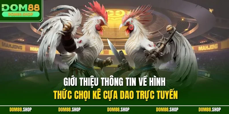 Giới thiệu thông tin về hình thức chọi kê cựa dao trực tuyến