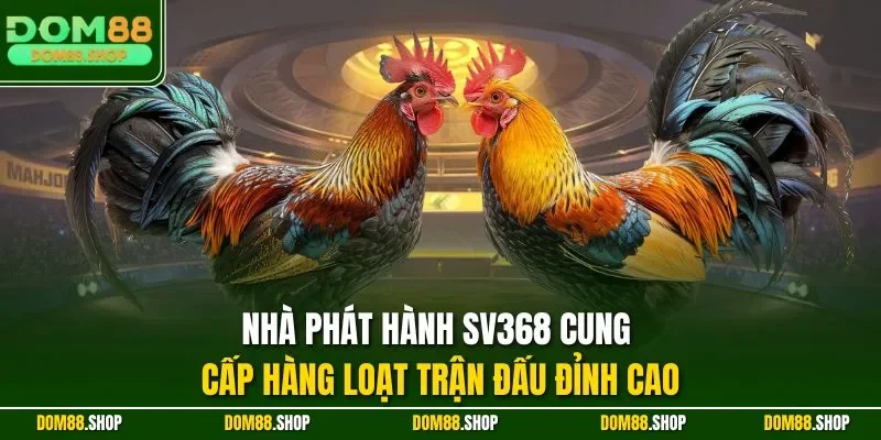 Nhà phát hành SV368 cung cấp hàng loạt trận đấu đỉnh cao