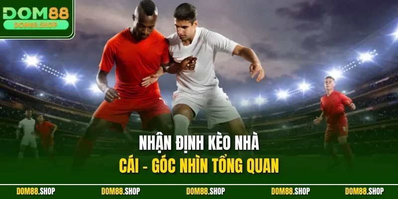 Nhận định kèo nhà cái - Góc nhìn tổng quan