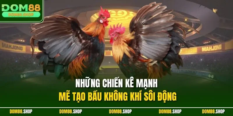 Những chiến kê mạnh mẽ tạo bầu không khí sôi động