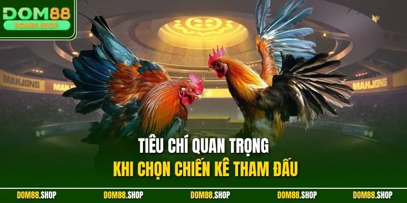 Tiêu chí quan trọng khi chọn chiến kê tham đấu