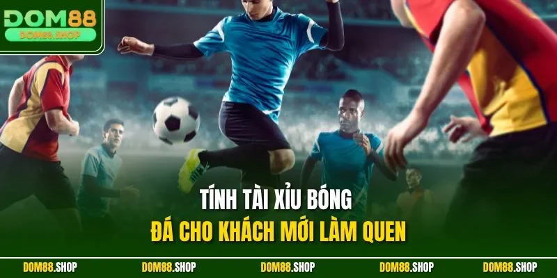 Tính tài xỉu bóng đá cho khách mới làm quen
