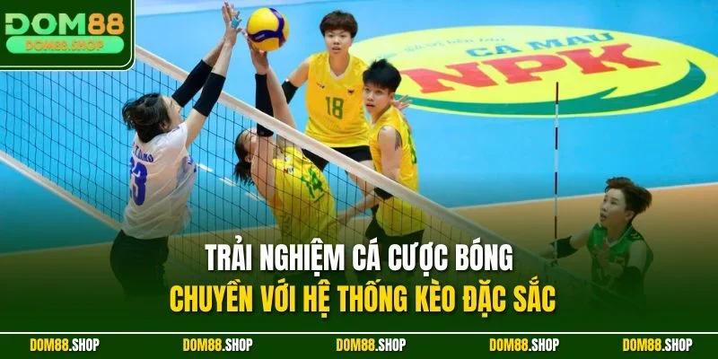 Trải nghiệm cá cược bóng chuyền với hệ thống kèo đặc sắc